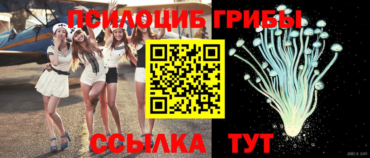 Псилоцибиновые грибы прущие грибы Камышлов