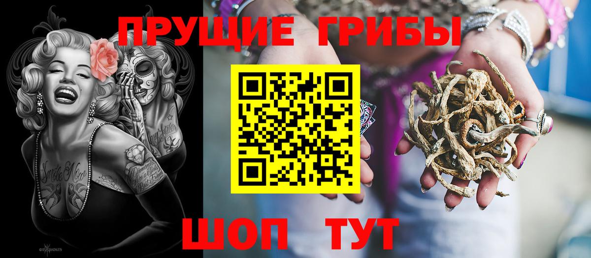 Псилоцибиновые грибы мухоморы  Вход с VPN  Камышлов 